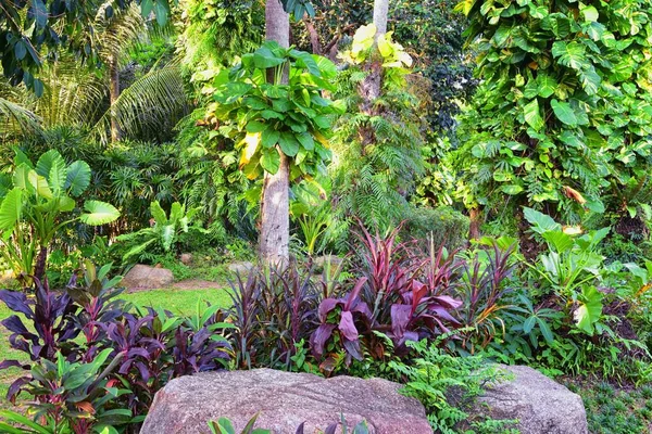 Phuket Reception Garden Area Pathway Views Thailand Resort Stock Photo — Stock Photo, Image