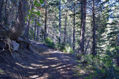 Kennecott Rio Tinto Copper madeni, Tooele ve Salt Lake City 'nin yanındaki Wasatch Front Rocky Dağları boyunca uzanan Oquirrh dağlarının Butterfield Kanyonu yürüyüş yolu manzarası. Utah, Birleşik Devletler.