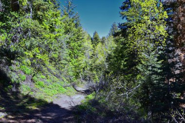 Rocky Mountain Wasatch Front tepeleri, Butterfield Canyon Oquirrh 'den manzara Rio Tinto Bingham Bakır Madeni, Great Salt Lake Valley sonbaharda. Utah, Birleşik Devletler.