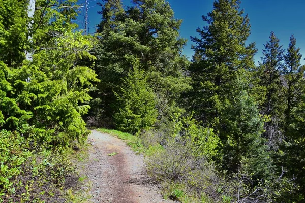 Butterfield Canyon Hiking Path Views Oquirrh Range Wasatch Front Rocky — Stock Photo, Image