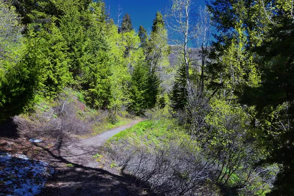 Blick Vom Butterfield Canyon Auf Die Oquirrh Kette Entlang Der — Stockfoto