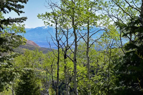 Rocky Mountain Wasatch Front Peaks Panoramablick Vom Butterfield Canyon Oquirrh — Stockfoto