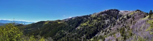 Rocky Mountain Wasatch Front Peaks Panoramablick Vom Butterfield Canyon Oquirrh — Stockfoto