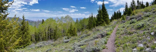 Skalistá Hora Wasatch Přední Vrcholy Panoramatický Výhled Krajinu Butterfieldského Kaňonu — Stock fotografie