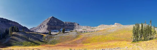 Timpanogos Hiking Trail Landscape Views Uinta Wasatch Cache National Forest — Stock Photo, Image