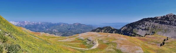 Timpanogos Caminhadas Trilha Paisagem Vistas Uinta Wasatch Cache National Forest — Fotografia de Stock