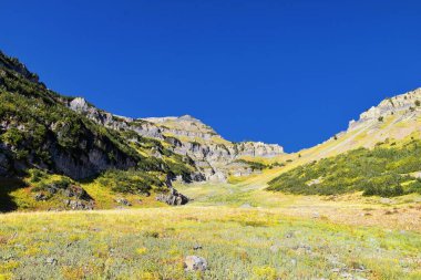 Timpanogos, Uinta Wasatch Önbellek Ulusal Ormanı 'nda, Utah Gölü' nün çevresinde, Rocky Dağları 'nda sonbaharda manzara yürüyüşü yapıyor. Midway, Heber, Provo City, Salt Lake ve Utah County manzaralı. ABD.