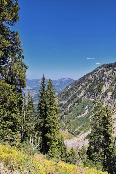 Blick Auf Den Timpanogos Wanderweg Uinta Wasatch Cache National Forest — Stockfoto