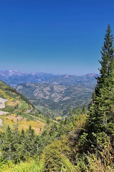 Sentiero Escursionistico Timpanogos Vista Paesaggio Uinta Wasatch Cache National Forest — Foto Stock