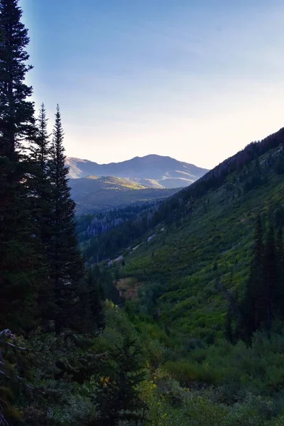 Timpanogos Vandringsled Utsikt Över Landskapet Uinta Wasatch Cache National Forest — Stockfoto