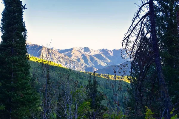 Timpanogos Rutas Senderismo Paisajes Uinta Wasatch Cache National Forest Alrededor —  Fotos de Stock