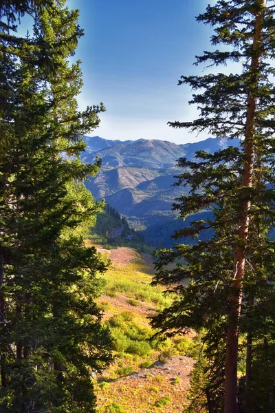ユタ湖周辺のユータ ウォッチキャッシュ国立の森 秋のロッキー山脈でのティンパゴスハイキングトレイルの風景 ミッドウェイ ヘバー プロボ市 ソルトレイク ユタ郡の景色 アメリカ — ストック写真