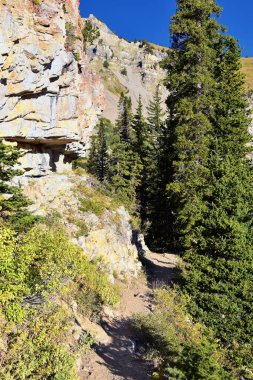 Timpanogos, Uinta Wasatch Önbellek Ulusal Ormanı 'nda, Utah Gölü' nün çevresinde, Rocky Dağları 'nda sonbaharda ağaçların arasında yürüyüş yapıyor. Midway, Heber, Provo City, Salt Lake ve Utah 'a yakın. ABD.