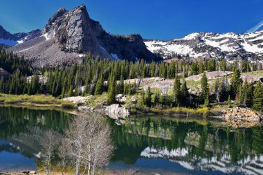 Blanche Gölü Yürüyüş Yolu manzaralı. Wasatch Front Rocky Dağları, Twin Peaks Wilderness, Salt Lake County Utah 'taki Büyük Cottonwood Kanyonu' ndaki Wasatch Ulusal Ormanı. Birleşik Devletler.