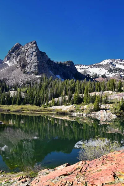 布兰奇湖远足小径全景 美国犹他州盐湖县的瓦萨奇前岩山脉 双峰荒野 大柯顿伍德峡谷的瓦萨奇国家森林 — 图库照片