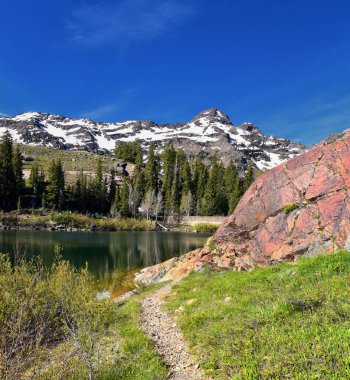 Blanche Gölü Yürüyüş Yolu manzaralı. Wasatch Front Rocky Dağları, Twin Peaks Wilderness, Salt Lake County Utah 'taki Büyük Cottonwood Kanyonu' ndaki Wasatch Ulusal Ormanı. Birleşik Devletler.