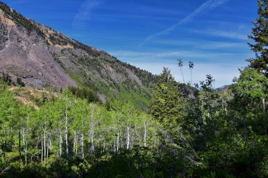 Blanche Gölü ormanı ve dağ manzarası patikadan görünüyor. Wasatch Front Rocky Dağları, Twin Peaks Wilderness, Salt Lake County Utah 'taki Büyük Cottonwood Kanyonu' ndaki Wasatch Ulusal Ormanı. Birleşik Devletler.