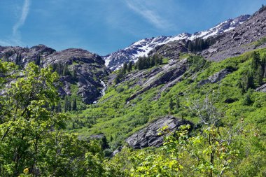 Blanche Gölü ormanı ve dağ manzarası patikadan görünüyor. Wasatch Front Rocky Dağları, Twin Peaks Wilderness, Salt Lake County Utah 'taki Büyük Cottonwood Kanyonu' ndaki Wasatch Ulusal Ormanı. Birleşik Devletler.