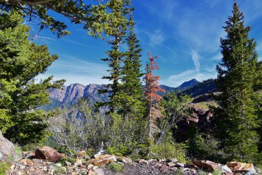 Blanche Gölü ormanı ve dağ manzarası patikadan görünüyor. Wasatch Front Rocky Dağları, Twin Peaks Wilderness, Salt Lake County Utah 'taki Büyük Cottonwood Kanyonu' ndaki Wasatch Ulusal Ormanı. Birleşik Devletler.
