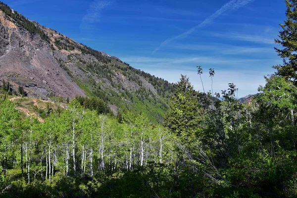 Lake Blanche Forest Mountain Landscape Views Trail Wasatch Front Rocky — Stock Photo, Image