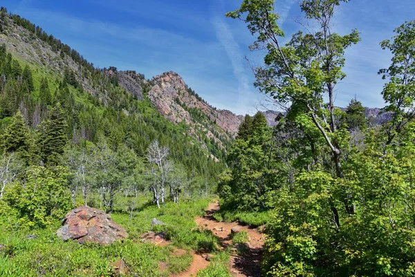 Lake Blanche Forest Mountain Landscape Views Trail Wasatch Front Rocky — Stock Photo, Image