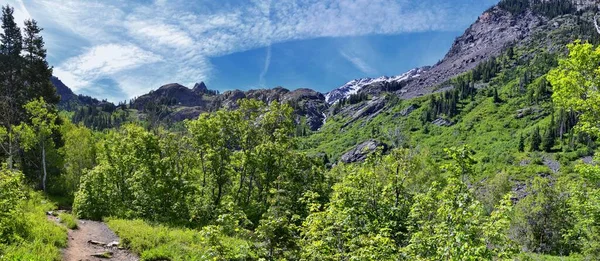 Floresta Lago Blanche Vista Para Paisagem Montanha Partir Trilha Wasatch — Fotografia de Stock