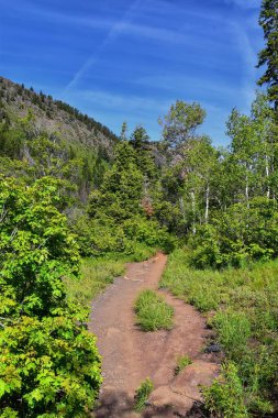 Blanche Gölü 'ne ve dağına yürüyüş yolu. Wasatch Front Rocky Dağları, Twin Peaks Wilderness, Salt Lake County Utah 'taki Büyük Cottonwood Kanyonu' ndaki Wasatch Ulusal Ormanı. Birleşik Devletler.