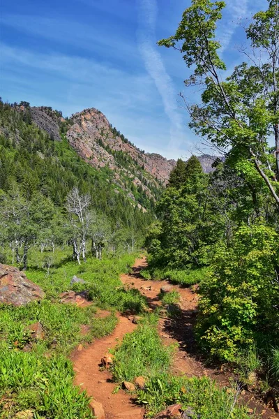 Подорож Озера Бланш Гори Wasatch Front Rocky Mountains Twin Peaks — стокове фото