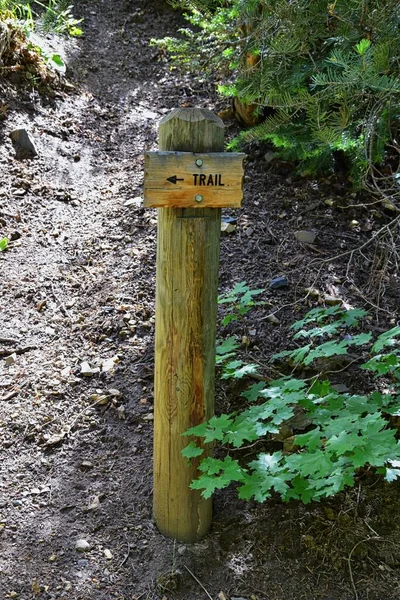 stock image Trail Sign on Lake Blanche hiking backpacking trail in Wasatch Front Rocky Mountains, Twin Peaks Wilderness,  Wasatch National Forest in Big Cottonwood Canyon in Salt Lake County Utah. United States.