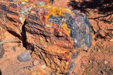 Taşlaşmış ahşap, Utah 'taki Escalante Taşlaşmış Orman Parkı boyunca fosilleştirilmiş mineralizasyon ve değiştirilmenin kırmızı, turuncu, mor, sarı ve gri tonlarında bir örnektir. Birleşik Devletler.