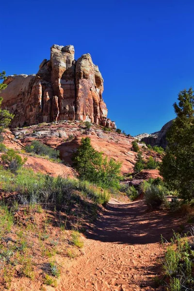 Blick Auf Die Lower Calf Creek Falls Vom Wanderweg Grand — Stockfoto