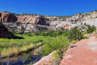 Lower Calf Creek Falls, Güney Utah 'ta Boulder ve Escalante arasındaki Grand Staircase-Escalante Ulusal Anıtı' nın yürüyüş yolundan görülmektedir. Birleşik Devletler.