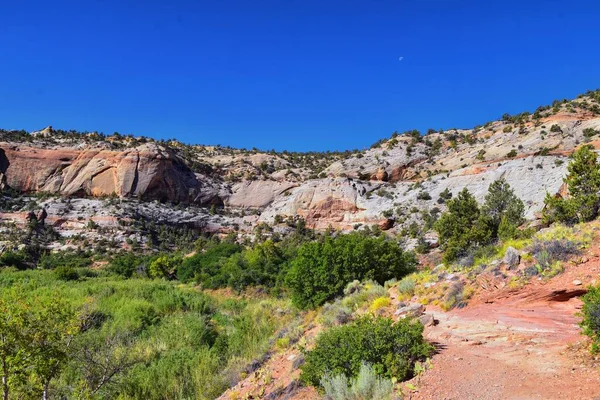 Lower Calf Creek Falls Vistas Desde Ruta Senderismo Grand Staircase — Foto de Stock