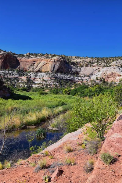 Pohled Lower Calf Creek Falls Turistické Stezky Grand Staircase Escalante — Stock fotografie