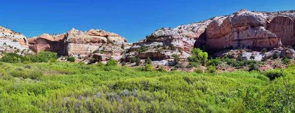 Нижний Кальф Крик Фолс Вид Пешеходной Тропы Grand Staircase Escalante — стоковое фото