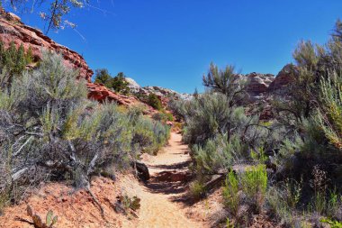 Lower Calf Creek Falls, Güney Utah 'ta Boulder ve Escalante arasındaki Grand Staircase-Escalante Ulusal Anıtı' nın yürüyüş yolundan görülmektedir. Birleşik Devletler.