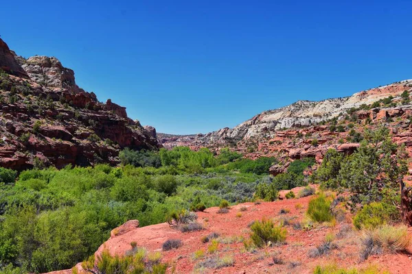 Blick Auf Die Lower Calf Creek Falls Vom Wanderweg Grand — Stockfoto