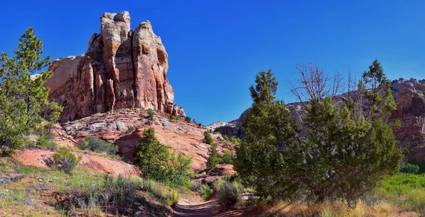 Lower Calf Creek Falls Vues Depuis Sentier Randonnée Grand Staircase — Photo