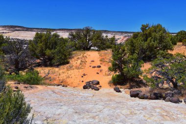 Upper Calf Creek Falls, Güney Utah 'ta 12. otoyolda Boulder ve Escalante arasındaki Waterfalls Grand Staircase-Escalante Ulusal Anıtı' nın yürüyüş parkurundan görüntüler. Birleşik Devletler.