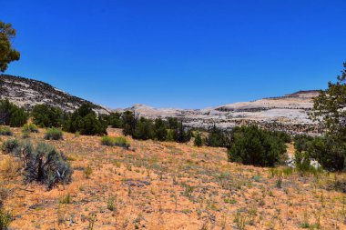 Upper Calf Creek Falls, Güney Utah 'ta 12. otoyolda Boulder ve Escalante arasındaki Waterfalls Grand Staircase-Escalante Ulusal Anıtı' nın yürüyüş parkurundan görüntüler. Birleşik Devletler.