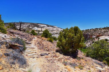 Upper Calf Creek Falls, Güney Utah 'ta 12. otoyolda Boulder ve Escalante arasındaki Waterfalls Grand Staircase-Escalante Ulusal Anıtı' nın yürüyüş parkurundan görüntüler. Birleşik Devletler.