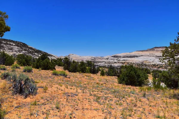 Upper Calf Creek Falls, Güney Utah 'ta 12. otoyolda Boulder ve Escalante arasındaki Waterfalls Grand Staircase-Escalante Ulusal Anıtı' nın yürüyüş parkurundan görüntüler. Birleşik Devletler.