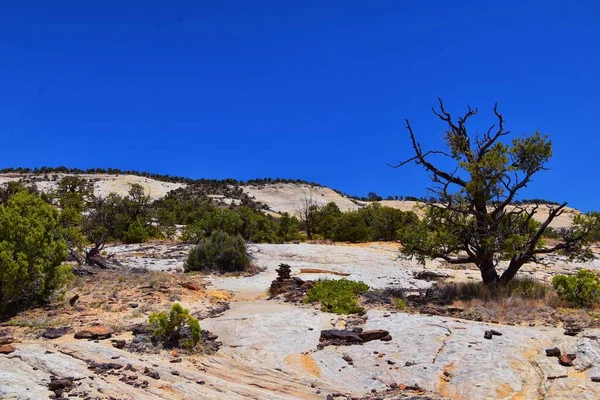 Водоспад Верхній Крік Англ Upper Calf Creek Falls Дивиться Туристичного — стокове фото