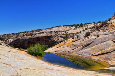 Upper Calf Creek Falls, Güney Utah 'ta 12. otoyolda Boulder ve Escalante arasındaki Waterfalls Grand Staircase-Escalante Ulusal Anıtı' nın yürüyüş parkurundan görüntüler. Birleşik Devletler.
