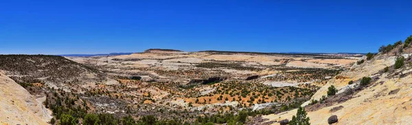 크리크 Upper Calf Creek Falls 남부에 도로에서 에스칼란테 사이에 그랜드 — 스톡 사진