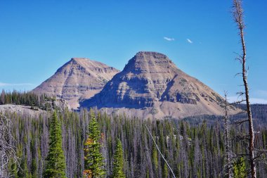Cuberant Gölü Uinta Dağları 'ndaki Marsell Dağı ile birlikte Birleşik Devletler' in Utah, Utah eyaletindeki Lake Trailhead Gölü 'nden göletlerin, ormanların ve otlakların yürüyüş manzarası..