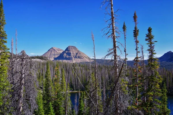 Lake Cuberant Wandelpad Uitzicht Vijvers Bos Weiden Met Bald Mountain — Stockfoto
