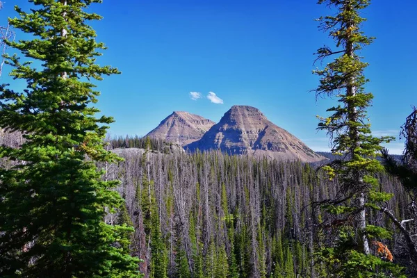 Lake Cuberant Wandelpad Uitzicht Vijvers Bos Weiden Met Bald Mountain — Stockfoto