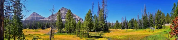 Lago Cuberant Senderismo Vistas Estanques Bosques Prados Con Montaña Calva —  Fotos de Stock