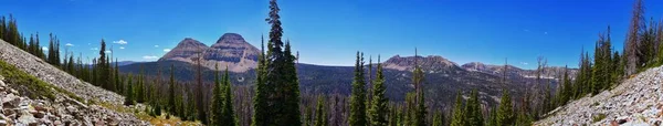 Lake Cuberant Wanderweg Blick Auf Teiche Wald Und Wiesen Mit — Stockfoto